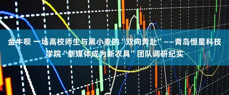 金牛呗 一场高校师生与黑小麦的“双向奔赴”——青岛恒星科技学院“新媒体成为新农具”团队调研纪实