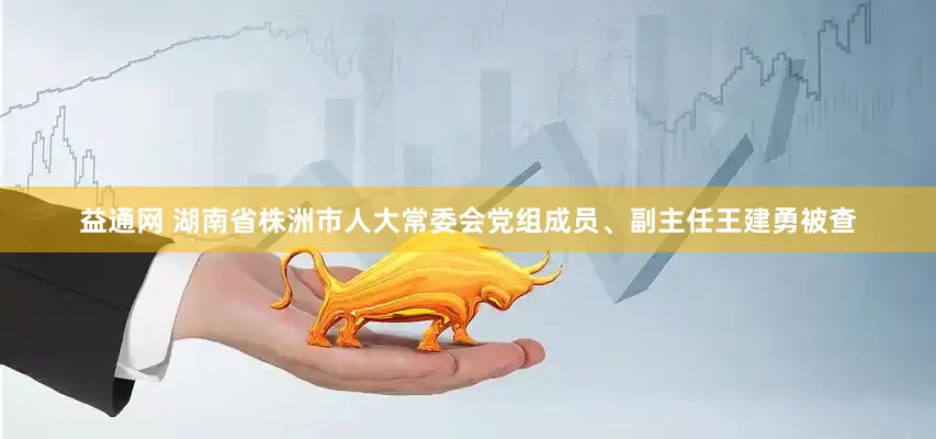 益通网 湖南省株洲市人大常委会党组成员、副主任王建勇被查