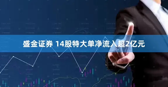 盛金证券 14股特大单净流入超2亿元
