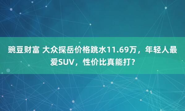 豌豆财富 大众探岳价格跳水11.69万，年轻人最爱SUV，性价比真能打？