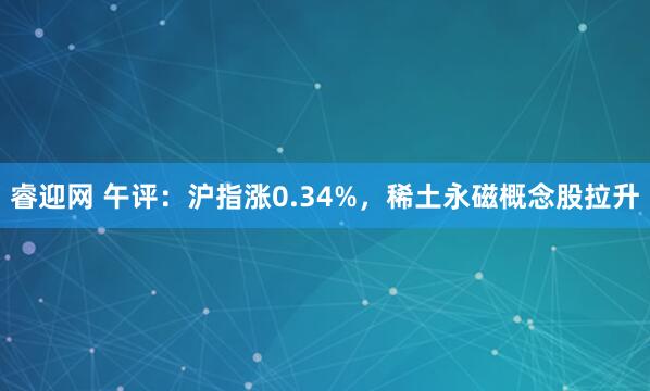 睿迎网 午评：沪指涨0.34%，稀土永磁概念股拉升