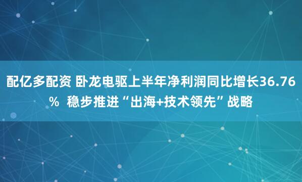 配亿多配资 卧龙电驱上半年净利润同比增长36.76%  稳步推进“出海+技术领先”战略